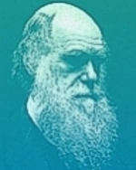 Darwin-Upheaval