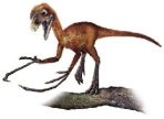 Der Epidendrosaurus