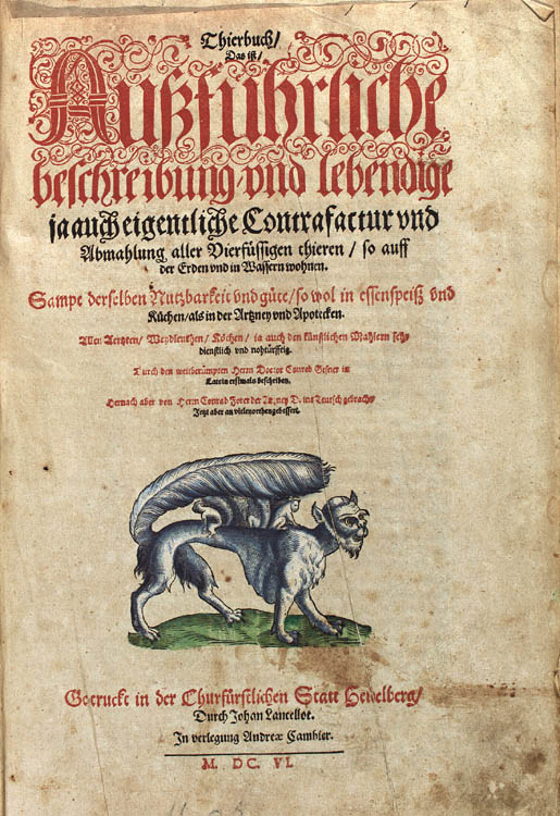 Conrad Gesners Historia animalium, Bd. 1, Säugetiere