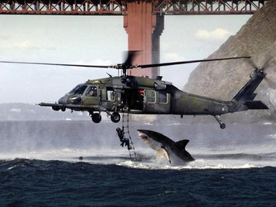 shark-diver-helicopter